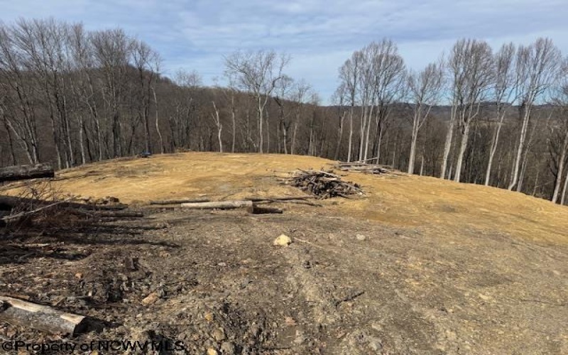 TBD Green Valley Road, Bridgeport, West Virginia 26330, ,Lots/land,For Sale,Green Valley,10158328