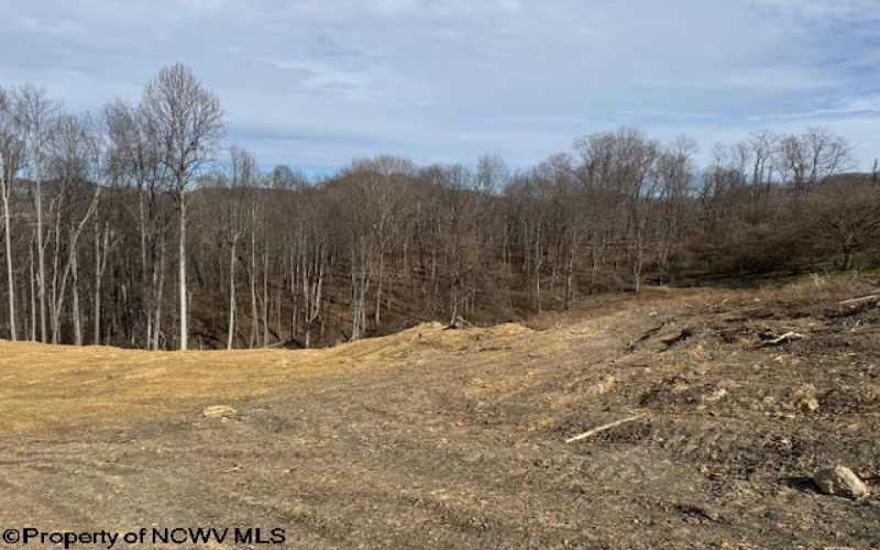 TBD Green Valley Road, Bridgeport, West Virginia 26330, ,Lots/land,For Sale,Green Valley,10158328