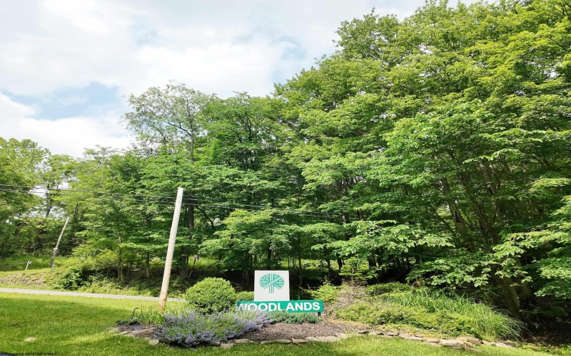 6000 Woodland Bluff Road, Morgantown, West Virginia 26508, ,Lots/land,For Sale,Woodland Bluff,10158342