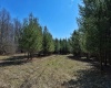 638 Oak Grove Cementary Road, Terra Alta, West Virginia 26764, ,Lots/land,For Sale,Oak Grove Cementary,10158353