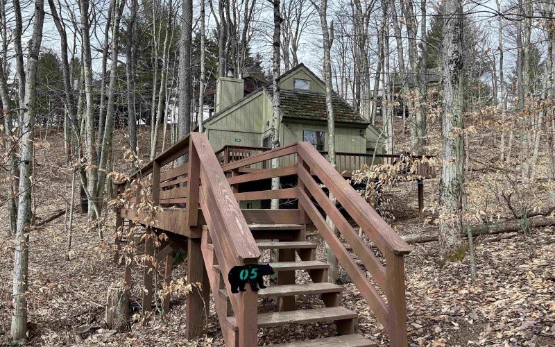 30 Yogi Court, Davis, West Virginia 26260, 2 Bedrooms Bedrooms, 4 Rooms Rooms,1 BathroomBathrooms,Single Family Detached,For Sale,Yogi,10158434