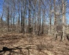 Lot 16 Winters Edge Drive, Davis, West Virginia 26260, ,Lots/land,For Sale,Winters Edge,10158432