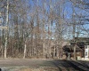 Lot 16 Winters Edge Drive, Davis, West Virginia 26260, ,Lots/land,For Sale,Winters Edge,10158432