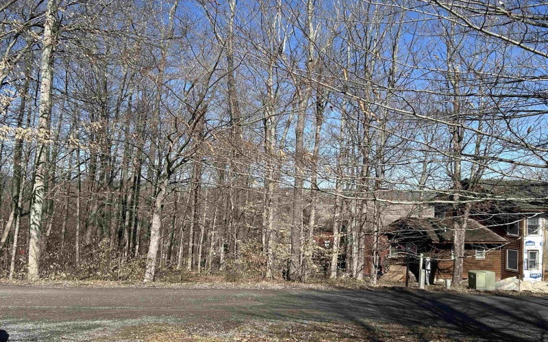 Lot 16 Winters Edge Drive, Davis, West Virginia 26260, ,Lots/land,For Sale,Winters Edge,10158432