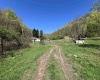 3595 Licking Creek Road, Parsons, West Virginia 26287, ,Lots/land,For Sale,Licking Creek,10158452