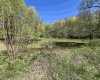 3595 Licking Creek Road, Parsons, West Virginia 26287, ,Lots/land,For Sale,Licking Creek,10158452