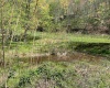 3595 Licking Creek Road, Parsons, West Virginia 26287, ,Lots/land,For Sale,Licking Creek,10158452