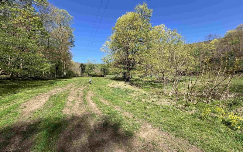 3595 Licking Creek Road, Parsons, West Virginia 26287, ,Lots/land,For Sale,Licking Creek,10158452