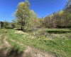 3595 Licking Creek Road, Parsons, West Virginia 26287, ,Lots/land,For Sale,Licking Creek,10158452