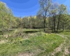 3595 Licking Creek Road, Parsons, West Virginia 26287, ,Lots/land,For Sale,Licking Creek,10158452