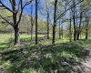 3595 Licking Creek Road, Parsons, West Virginia 26287, ,Lots/land,For Sale,Licking Creek,10158452