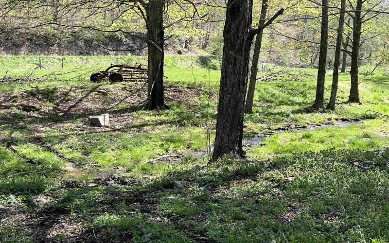 3595 Licking Creek Road, Parsons, West Virginia 26287, ,Lots/land,For Sale,Licking Creek,10158452