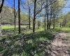 3595 Licking Creek Road, Parsons, West Virginia 26287, ,Lots/land,For Sale,Licking Creek,10158452