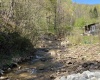 3595 Licking Creek Road, Parsons, West Virginia 26287, ,Lots/land,For Sale,Licking Creek,10158452
