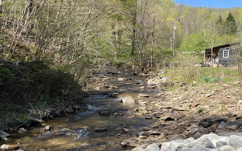 3595 Licking Creek Road, Parsons, West Virginia 26287, ,Lots/land,For Sale,Licking Creek,10158452