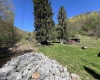 3595 Licking Creek Road, Parsons, West Virginia 26287, ,Lots/land,For Sale,Licking Creek,10158452