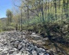 3595 Licking Creek Road, Parsons, West Virginia 26287, ,Lots/land,For Sale,Licking Creek,10158452