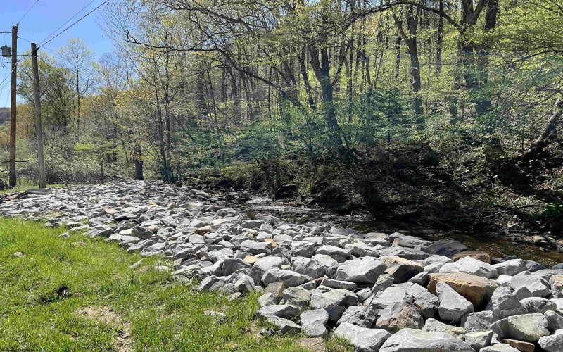 3595 Licking Creek Road, Parsons, West Virginia 26287, ,Lots/land,For Sale,Licking Creek,10158452