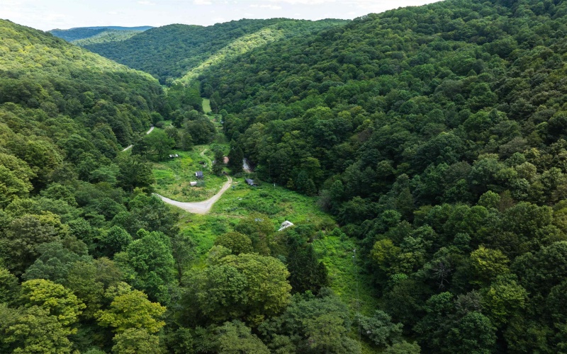 3595 Licking Creek Road, Parsons, West Virginia 26287, ,Lots/land,For Sale,Licking Creek,10158452