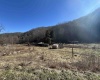 3595 Licking Creek Road, Parsons, West Virginia 26287, ,Lots/land,For Sale,Licking Creek,10158452