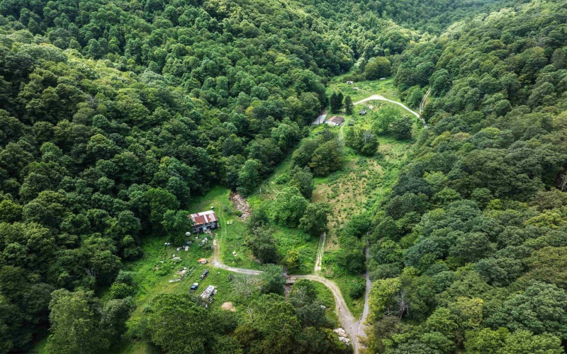3595 Licking Creek Road, Parsons, West Virginia 26287, ,Lots/land,For Sale,Licking Creek,10158452