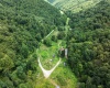 3595 Licking Creek Road, Parsons, West Virginia 26287, ,Lots/land,For Sale,Licking Creek,10158452