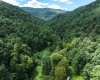 3595 Licking Creek Road, Parsons, West Virginia 26287, ,Lots/land,For Sale,Licking Creek,10158452