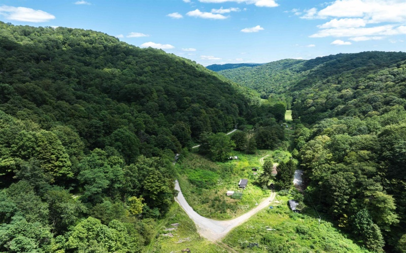 3595 Licking Creek Road, Parsons, West Virginia 26287, ,Lots/land,For Sale,Licking Creek,10158452