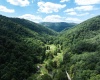 3595 Licking Creek Road, Parsons, West Virginia 26287, ,Lots/land,For Sale,Licking Creek,10158452