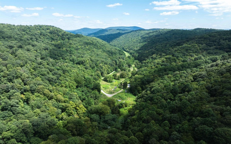 3595 Licking Creek Road, Parsons, West Virginia 26287, ,Lots/land,For Sale,Licking Creek,10158452