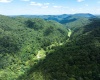 3595 Licking Creek Road, Parsons, West Virginia 26287, ,Lots/land,For Sale,Licking Creek,10158452