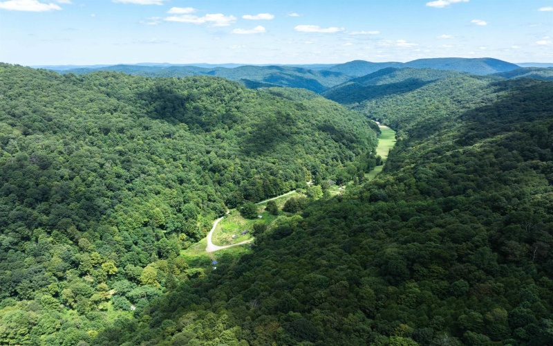 3595 Licking Creek Road, Parsons, West Virginia 26287, ,Lots/land,For Sale,Licking Creek,10158452