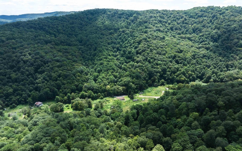 3595 Licking Creek Road, Parsons, West Virginia 26287, ,Lots/land,For Sale,Licking Creek,10158452