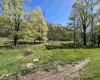 3595 Licking Creek Road, Parsons, West Virginia 26287, ,Lots/land,For Sale,Licking Creek,10158452