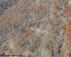 3595 Licking Creek Road, Parsons, West Virginia 26287, ,Lots/land,For Sale,Licking Creek,10158452