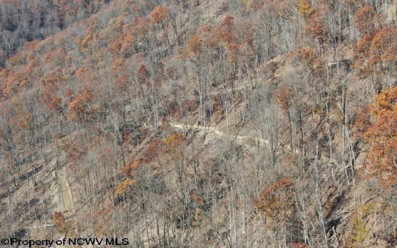 3595 Licking Creek Road, Parsons, West Virginia 26287, ,Lots/land,For Sale,Licking Creek,10158452
