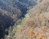 3595 Licking Creek Road, Parsons, West Virginia 26287, ,Lots/land,For Sale,Licking Creek,10158452