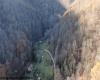 3595 Licking Creek Road, Parsons, West Virginia 26287, ,Lots/land,For Sale,Licking Creek,10158452