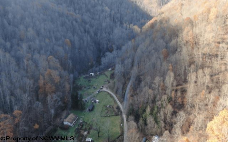 3595 Licking Creek Road, Parsons, West Virginia 26287, ,Lots/land,For Sale,Licking Creek,10158452