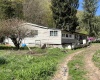 3595 Licking Creek Road, Parsons, West Virginia 26287, ,Lots/land,For Sale,Licking Creek,10158452