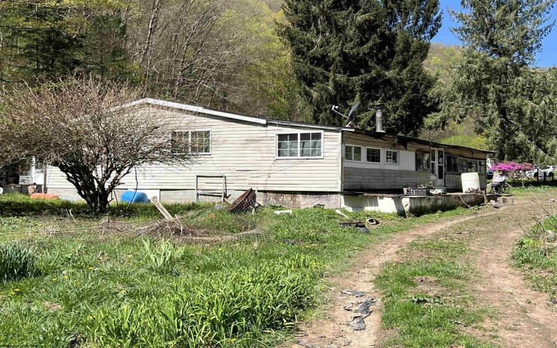 3595 Licking Creek Road, Parsons, West Virginia 26287, ,Lots/land,For Sale,Licking Creek,10158452