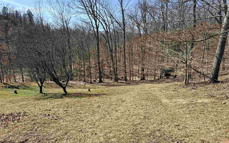 111 Autumn Lane, Valley Bend, West Virginia 26293, 3 Bedrooms Bedrooms, 11 Rooms Rooms,2 BathroomsBathrooms,Single Family Detached,For Sale,Autumn,10158509