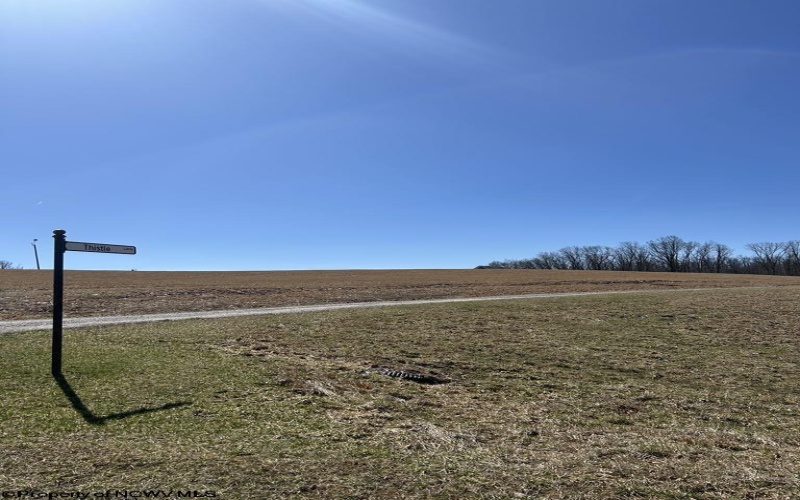 0 Briar Ridge Estates, Buckhannon, West Virginia 26201, ,Lots/land,For Sale,Briar Ridge,10158526