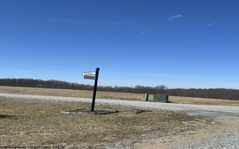 0 Briar Ridge Estates, Buckhannon, West Virginia 26201, ,Lots/land,For Sale,Briar Ridge,10158526