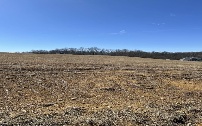 0 Briar Ridge Estates, Buckhannon, West Virginia 26201, ,Lots/land,For Sale,Briar Ridge,10158526