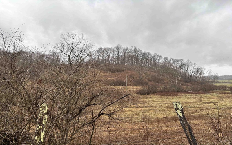 537 Carl Phillips Road, Montrose, West Virginia 26283, ,Lots/land,For Sale,Carl Phillips,10158552