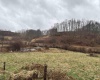 537 Carl Phillips Road, Montrose, West Virginia 26283, ,Lots/land,For Sale,Carl Phillips,10158552