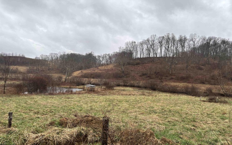 537 Carl Phillips Road, Montrose, West Virginia 26283, ,Lots/land,For Sale,Carl Phillips,10158552