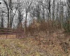 838 Charlie Phillips Road, Montrose, West Virginia 26283, ,Lots/land,For Sale,Charlie Phillips,10158553