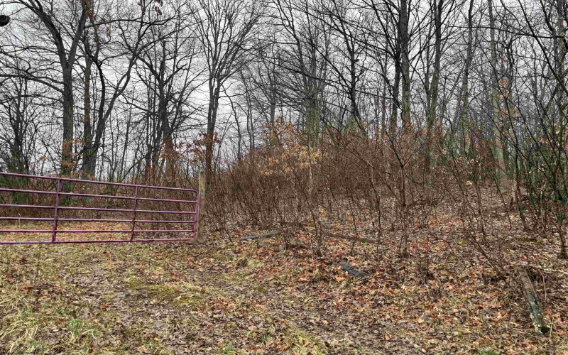 838 Charlie Phillips Road, Montrose, West Virginia 26283, ,Lots/land,For Sale,Charlie Phillips,10158553
